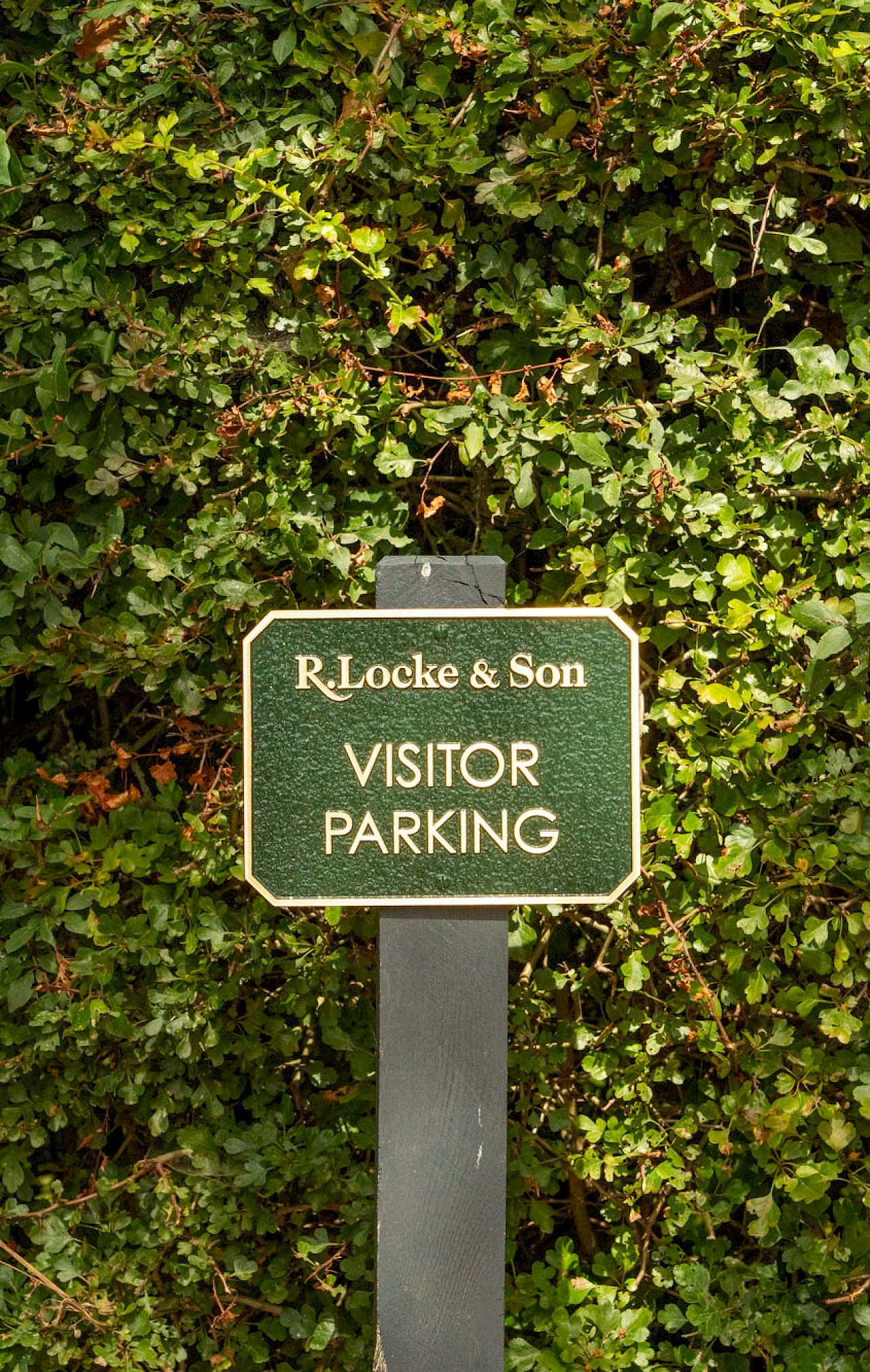 Ample parking right outside the door