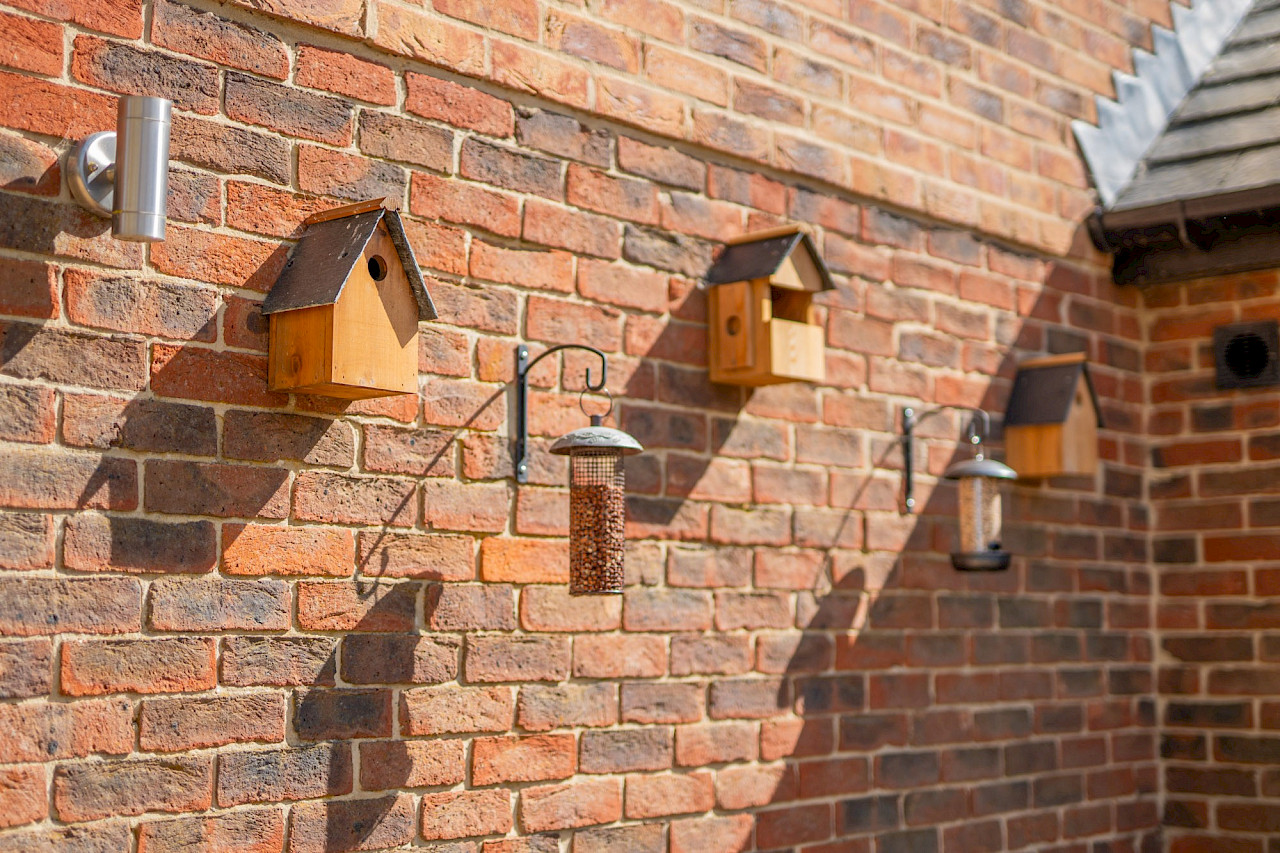 Bird boxes attract local wildlife