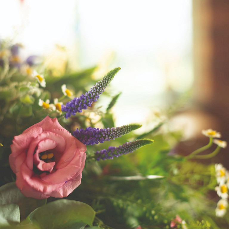 Flowers